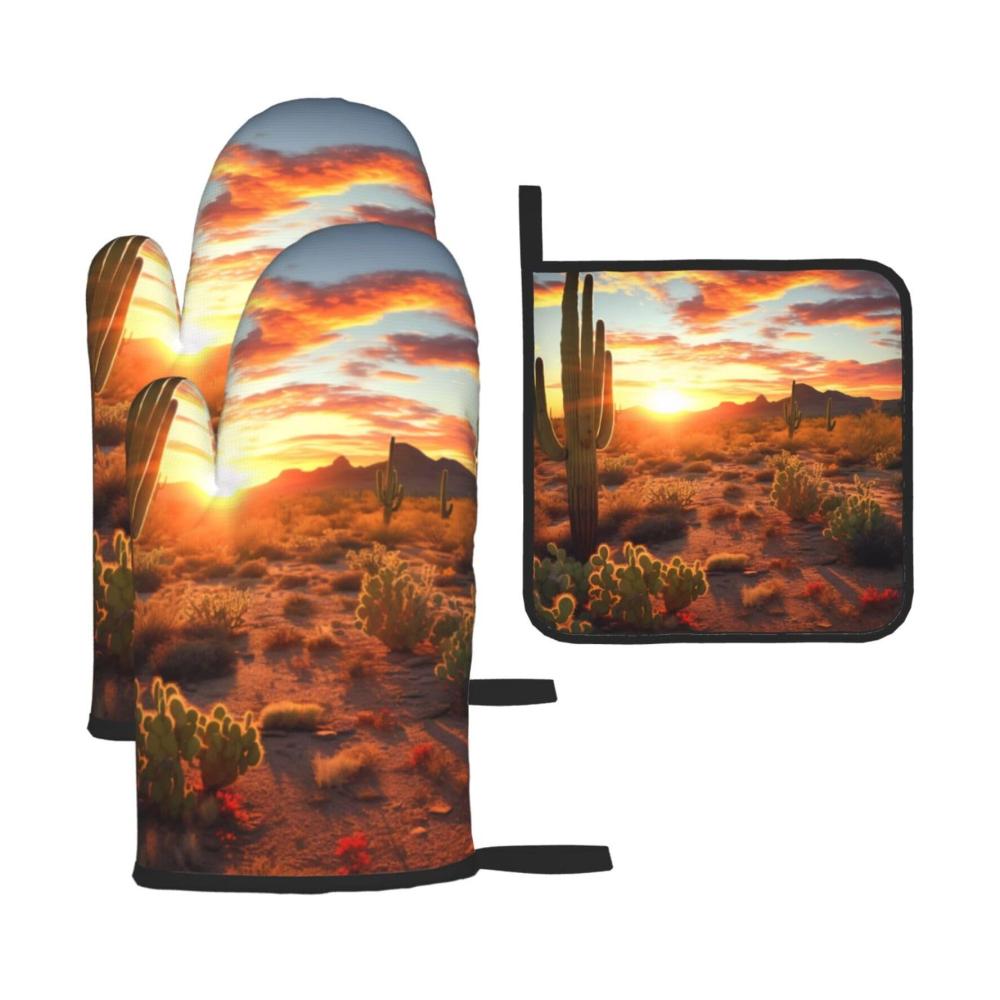 Kaktus Wüste Sonnenuntergang