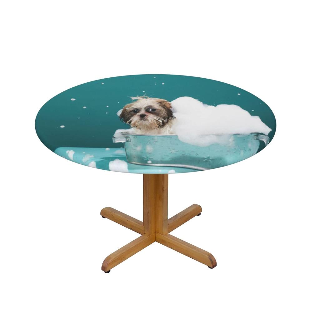 Badewanne und Hund