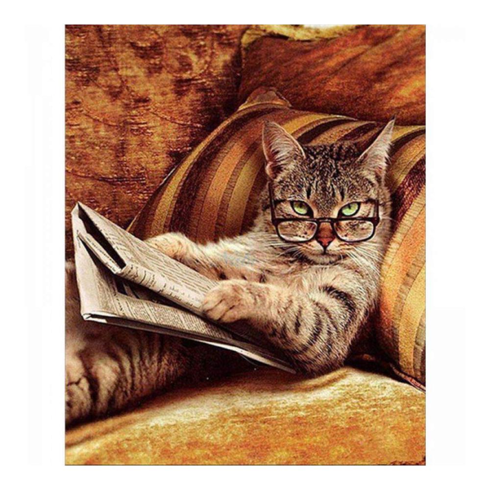 Malen nach Zahlen DIY für Erwachsene Katze mit Brille liest Zeitung auf Sofa – Komplettset mit Pinseln und Acrylfarben für 16x20 Zoll Gemälde. Perfekt für Heimdekoration und kreative Entspan