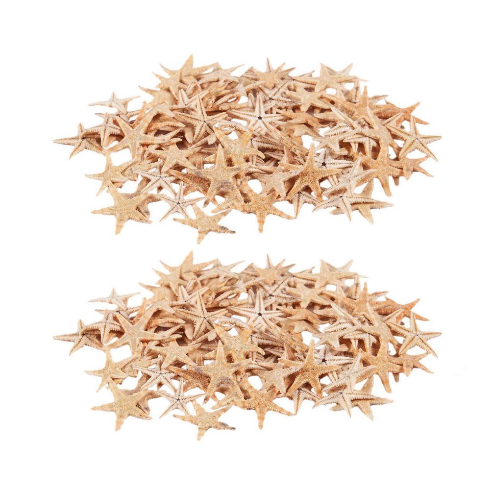 Perfektes Set für kreative Köpfe 180-teiliges Bastelkit für Geräte Perlenweben & Schmuckherstellung mit kleinen Seesternen Muscheln und Sternen am Strand. Entdecken Sie Ihre handwerkliche Seite