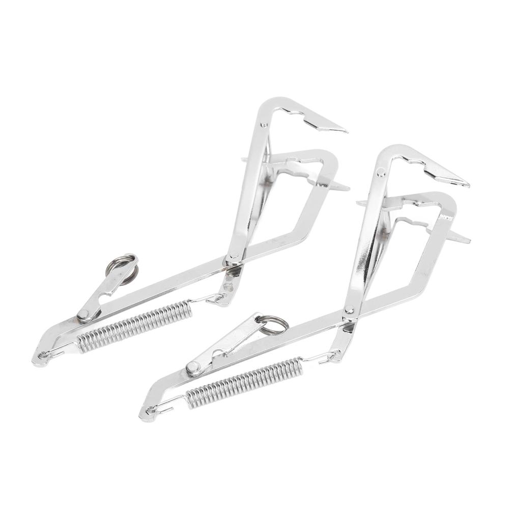 Premium Meeresfrüchtebesteck-Set 2 Edelstahl-Greifer für müheloses Fangen von Krabben Hechten & Raubtieren - Ideale Begleiter für Outdoor-Angeln und kulinar