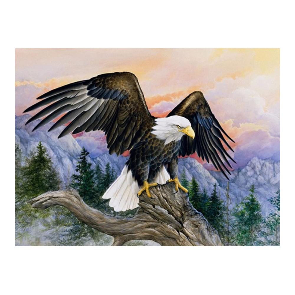 Entdecken Sie die Flugkunst Wingkin Kreuzstich Stickpackungen für Adler - Perfektes Set für Anfänger - DIY Stickbilder für beeindruckende Home Decor - Zählbare Sets für präzises Sticken