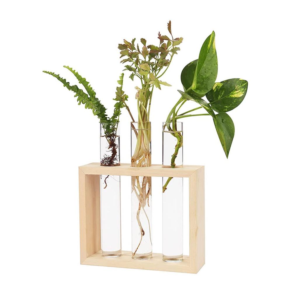 Deko Vasen Set Vintage Glas Reagenzgläser in Holzhalterung für Hydrokultur Pflanzen & Terrarium Dekoration - Perfekt für Zuhause Büro & Garten