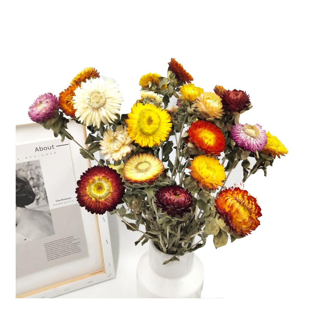Entzückendes Getrocknete Blumen Bouquet 20 Stück Ananas Chrysantheme Natürlich und Echt für Blumenarrangement und Home Decor - Fr