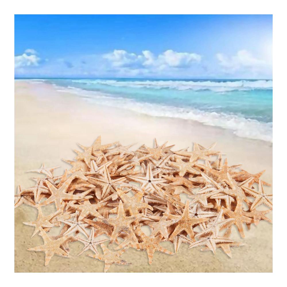Perfektes Set für kreative Köpfe 180-teiliges Bastelkit für Geräte Perlenweben & Schmuckherstellung mit kleinen Seesternen Muscheln und Sternen am Strand. Entdecken Sie Ihre handwerkliche Seite