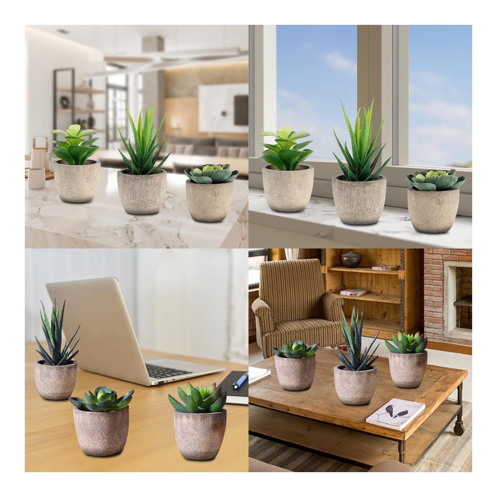 3er Set Dekorative Künstliche Pflanzen Sukkulenten & Bonsai - Ideal für Wohnzimmer Balkon & Büro Langlebige Frühlingsdeko Perfektes Geschen