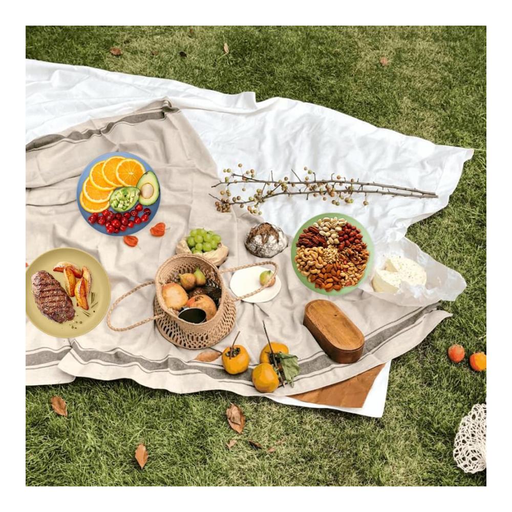 Hochwertige 6er Set Speiseteller aus bruchsicherem Material – Ideal für Salat Pasta und mehr – 9 Zoll Robuste Dinner Plates für Zuhause Partys – Mikrowellen- und Spülmaschinenfest