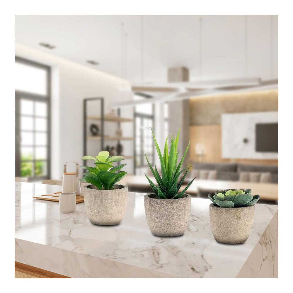3er Set Dekorative Künstliche Pflanzen Sukkulenten & Bonsai - Ideal für Wohnzimmer Balkon & Büro Langlebige Frühlingsdeko Perfektes Geschen
