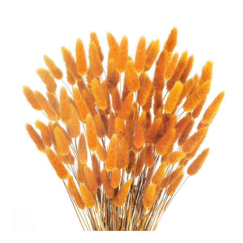 Entdecken Sie die Schönheit der Natur mit 120 Stück getrockneter Pflanzen gemahlenes Gras herbstliche Blumen und rotes Schilfgras für Zuhause Hochzeit und Halloween-Dekorationen