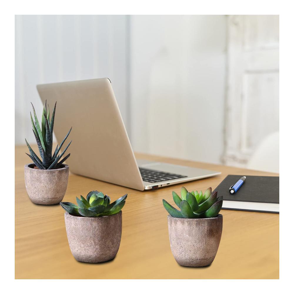 3er Set Dekorative Künstliche Pflanzen Sukkulenten & Bonsai - Ideal für Wohnzimmer Balkon & Büro Langlebige Frühlingsdeko Perfektes Geschen