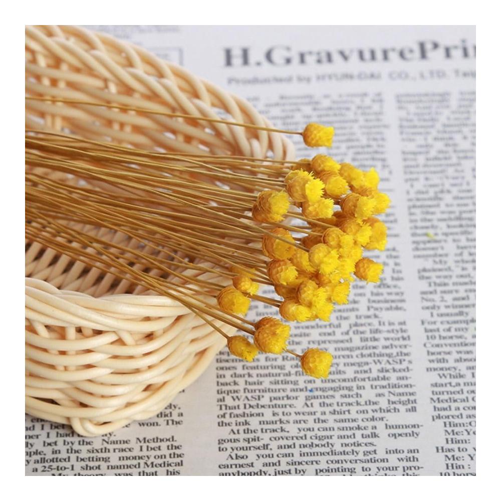 Exquisite Hochzeitsdekoration 50 Stück Natürliche Getrocknete Blumensträuße - Klein & Konserviert für Frische - Perfekt für Pressen & Arrangieren - Ideale Trockenblumen für DIY