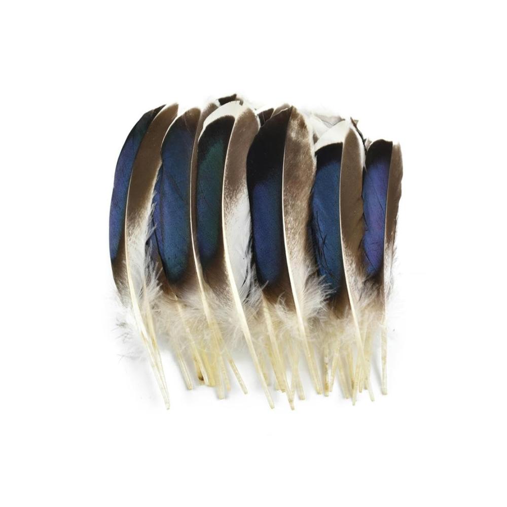 500 Stk. Natürliche Pfauen-Gans-Fasan-Federn 3–7cm perfekt für Scrapbooking DIY-Handwerk & Schmuckdekorationen - Basteln Sie stilvolle Verzierungen