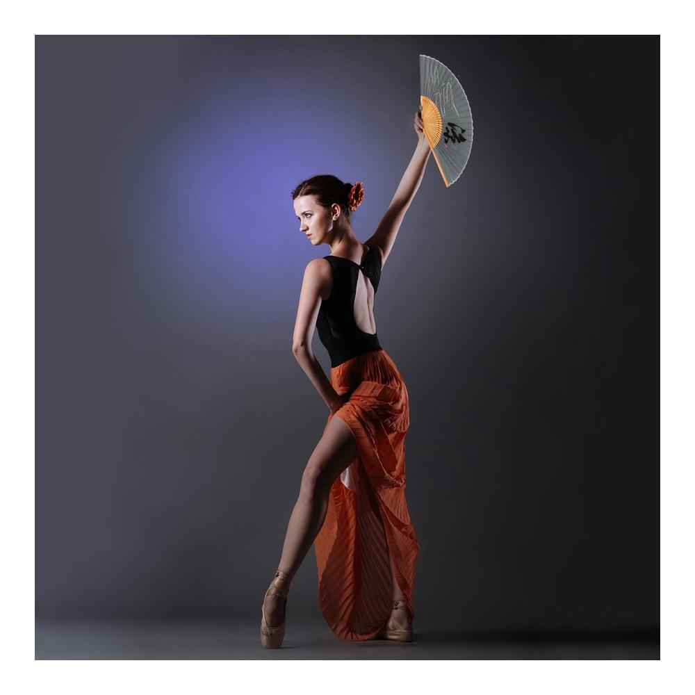 Exklusive Japanische Handfächer - Dekorative Fächer aus Seide und Bambusgriff - Perfekte Deko für Sommer Tanz und Flamenco - Hochwertige Dekoartikel