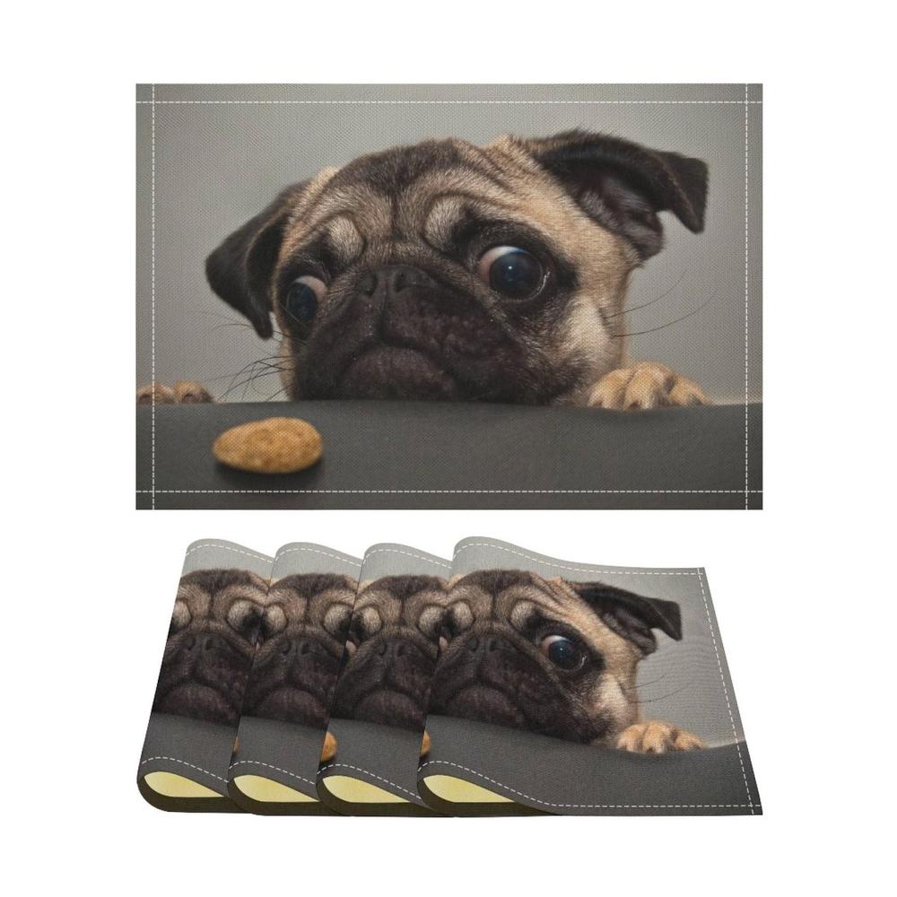 Niedlicher Mops-hund
