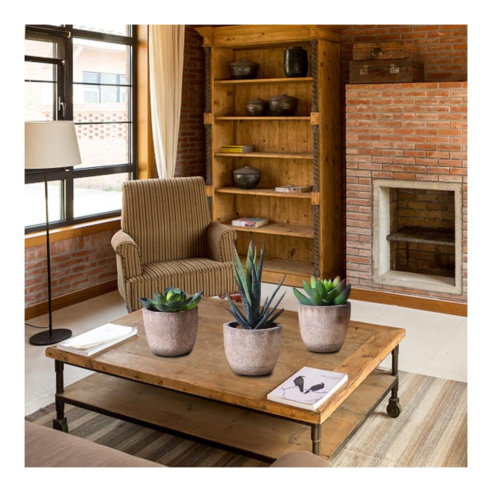 3er Set Dekorative Künstliche Pflanzen Sukkulenten & Bonsai - Ideal für Wohnzimmer Balkon & Büro Langlebige Frühlingsdeko Perfektes Geschen