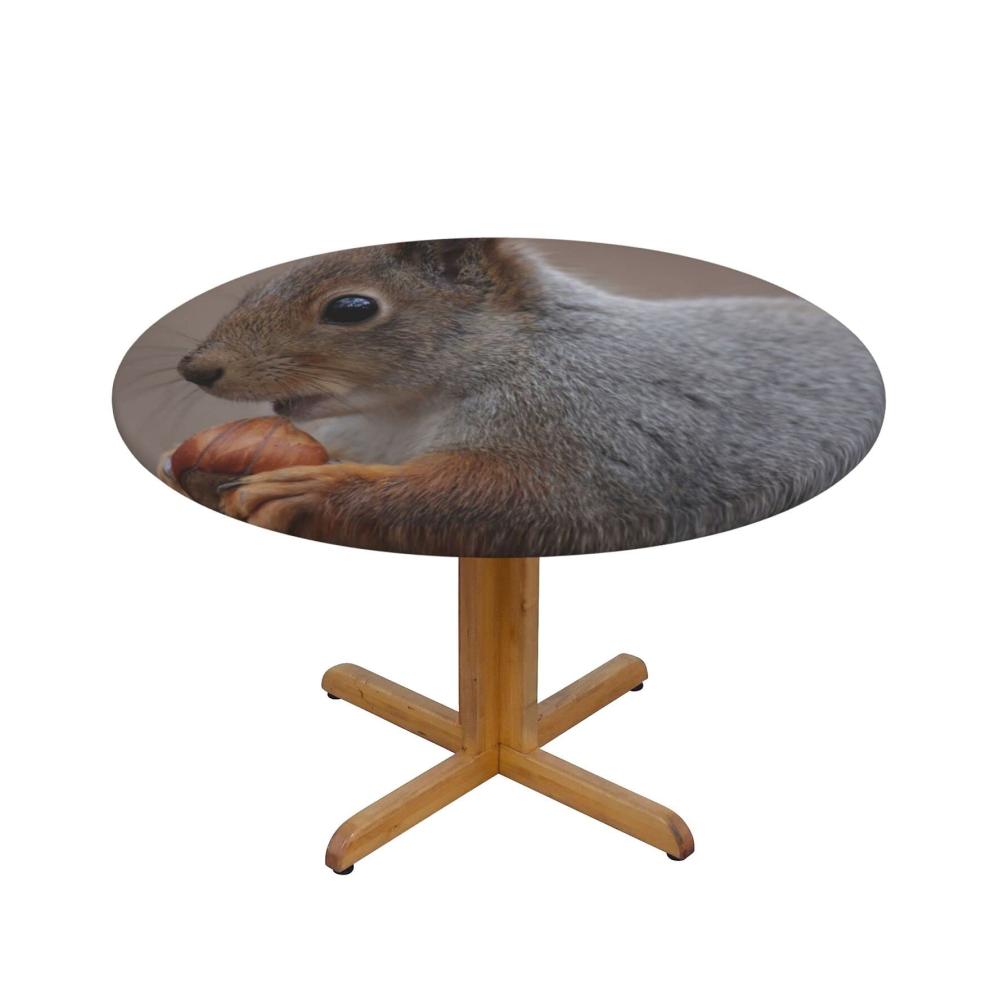 Süßes Eichhörnchen