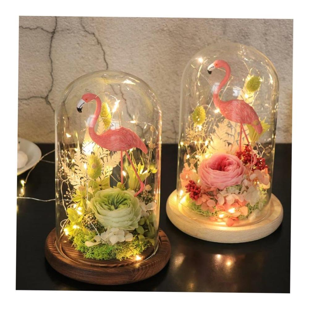 Exquisite Hochzeitsdekoration Konservierte Blumen in 5 Stück braunen Glaskuppeln – Perfekt für Weihnachten und besondere Anlässe – Durchmesser 2 cm