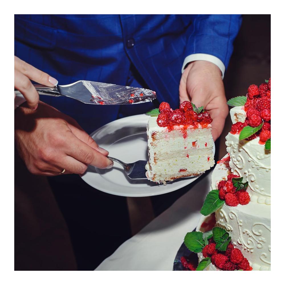 Hochwertiger Kuchen- & Tortenheber aus Edelstahl mit Kunststoffgriffen - Perfektes Tortenmesser und Server Set für Hochzeit Geburtstag und Party. Elegant gestaltet langlebig und funkt
