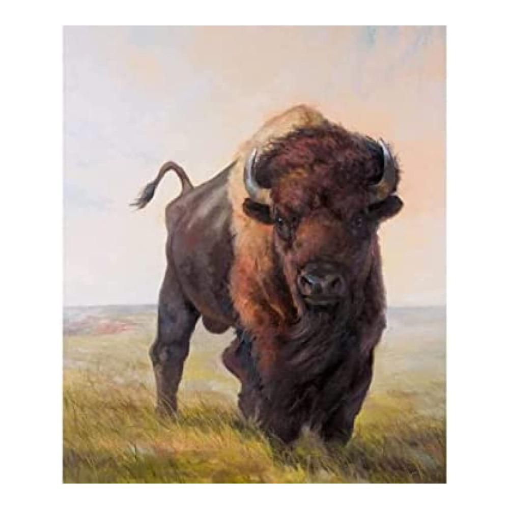 Entdecken Sie kreative Kunst Eiialerm Zählbare Sets Kreuzstich Stickpackungen - Amerikanischer Bison und Kuhmotive für DIY-Enthusiasten! 11CT Sticken Set 40x50cm - Perfekt für erwachsene Anfänger beeindruckende Home Decor-Projekte