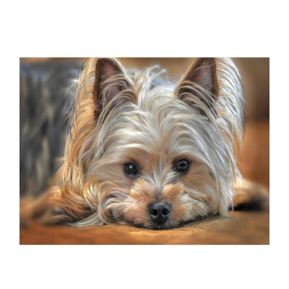 DIY Malerei Zubehör Set Niedlicher Hund Stickerei Kit für Runde Malerei – Perfekt für kreative Kunstprojekte und entspannende Stunden zu