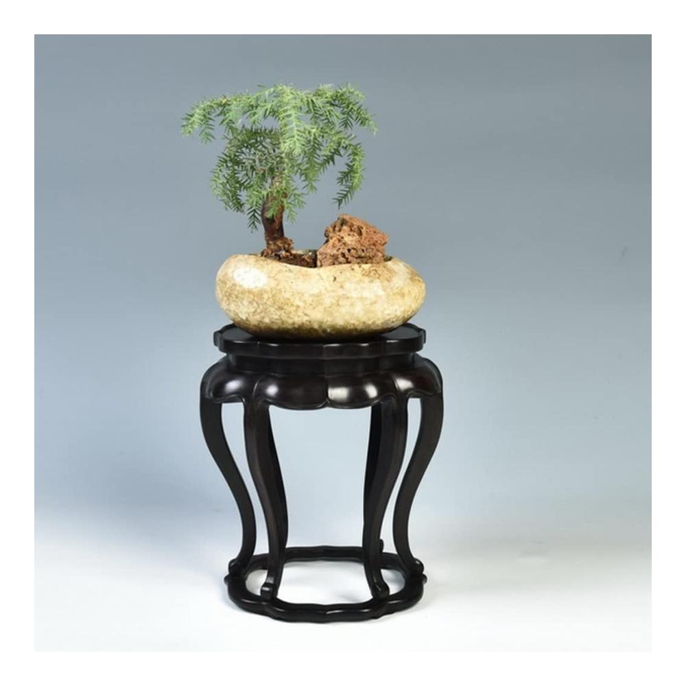 Handgeschnitzter Holzsockel für Vasen - Exklusiver Ausstellungsständer aus lila Sandelholz für Vasen und Blumenarrangements - Dekorativer Vasenständer für stilvolle Präsentationen und Displays - Robuste Plattform für Ihre Kunstwerke