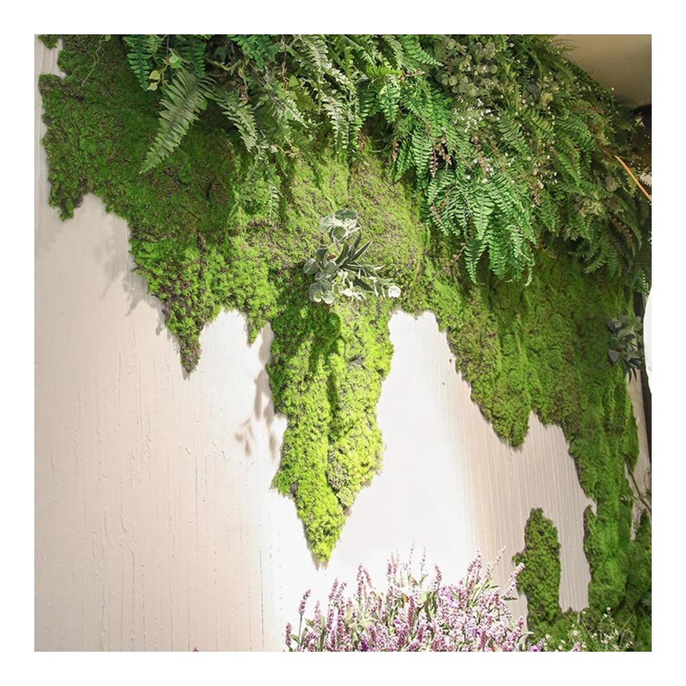Entdecken Sie die Magie der Natur Künstlicher Grüner Rasen und Simulationsmoosgras für eine lebendige Wandgestaltung in Hochzeiten Hotels und Zuhause – 39.4 x 78.7 Zoll (Style5