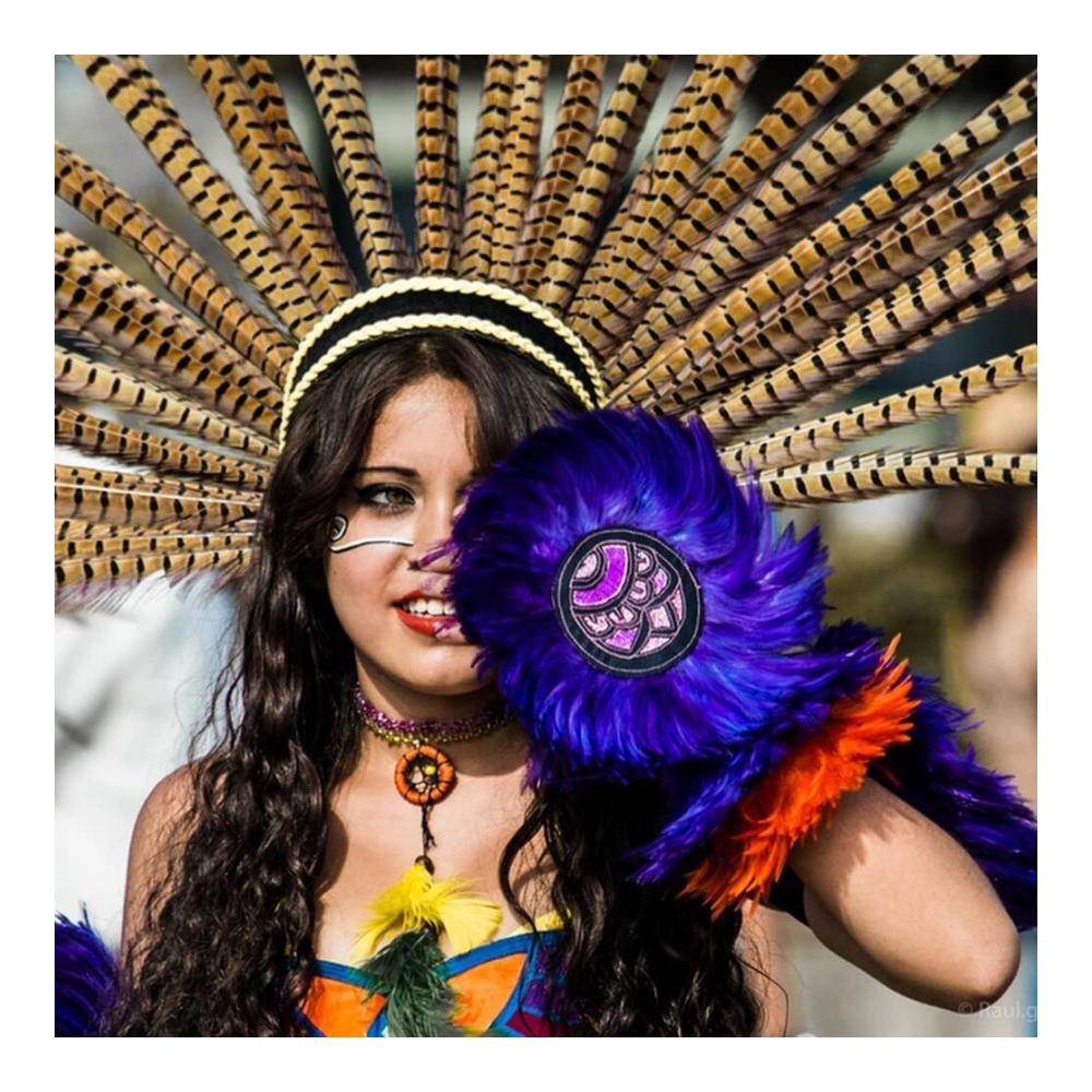 Entdecken Sie kreative Vielfalt mit unserer 2m langen Feder Fringe Trim Borte! Perfekte Federborte mit Satinband für Bastelprojekte Kostüme und Dekorationen. Schwarzer Federbesatz mit flauschigen Gänsefedern - ideal zum Nähen und Verzieren. Erwecken Sie Ihre Designs mit luxuriösen Federfransen zum Leben