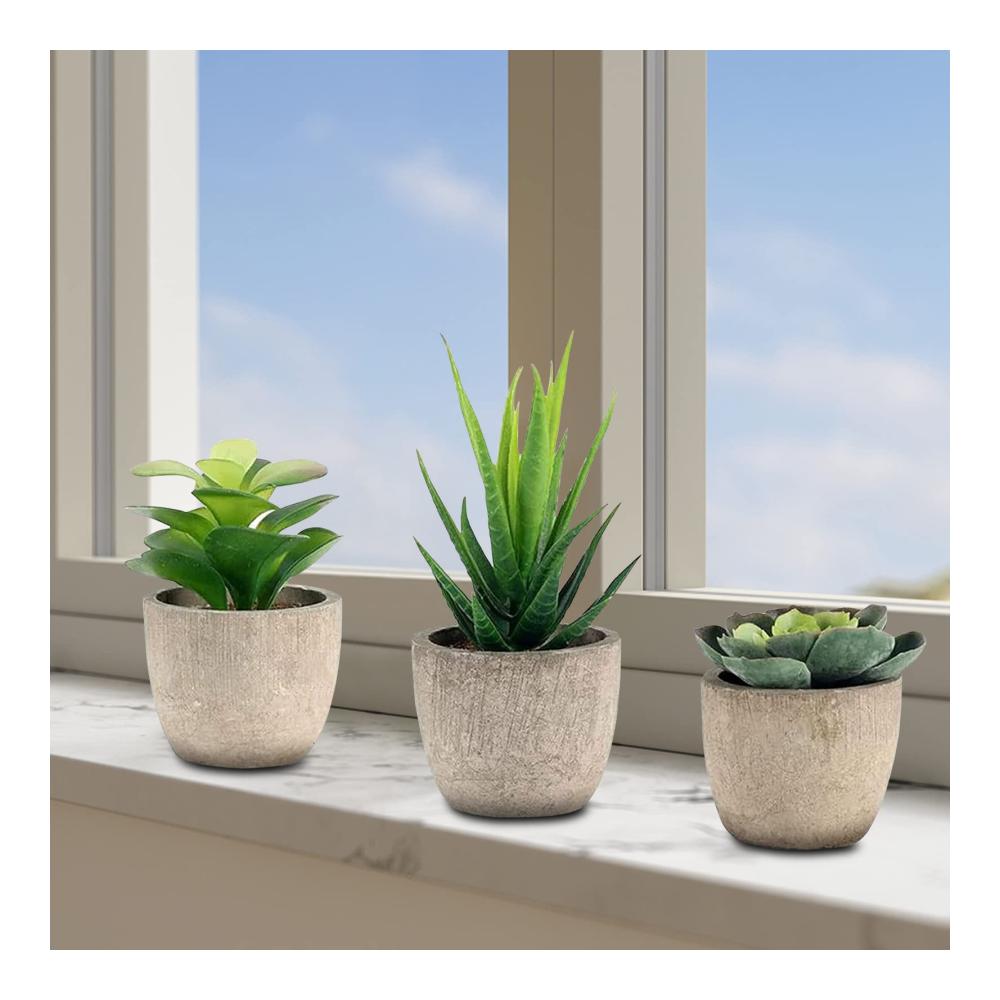 3er Set Dekorative Künstliche Pflanzen Sukkulenten & Bonsai - Ideal für Wohnzimmer Balkon & Büro Langlebige Frühlingsdeko Perfektes Geschen