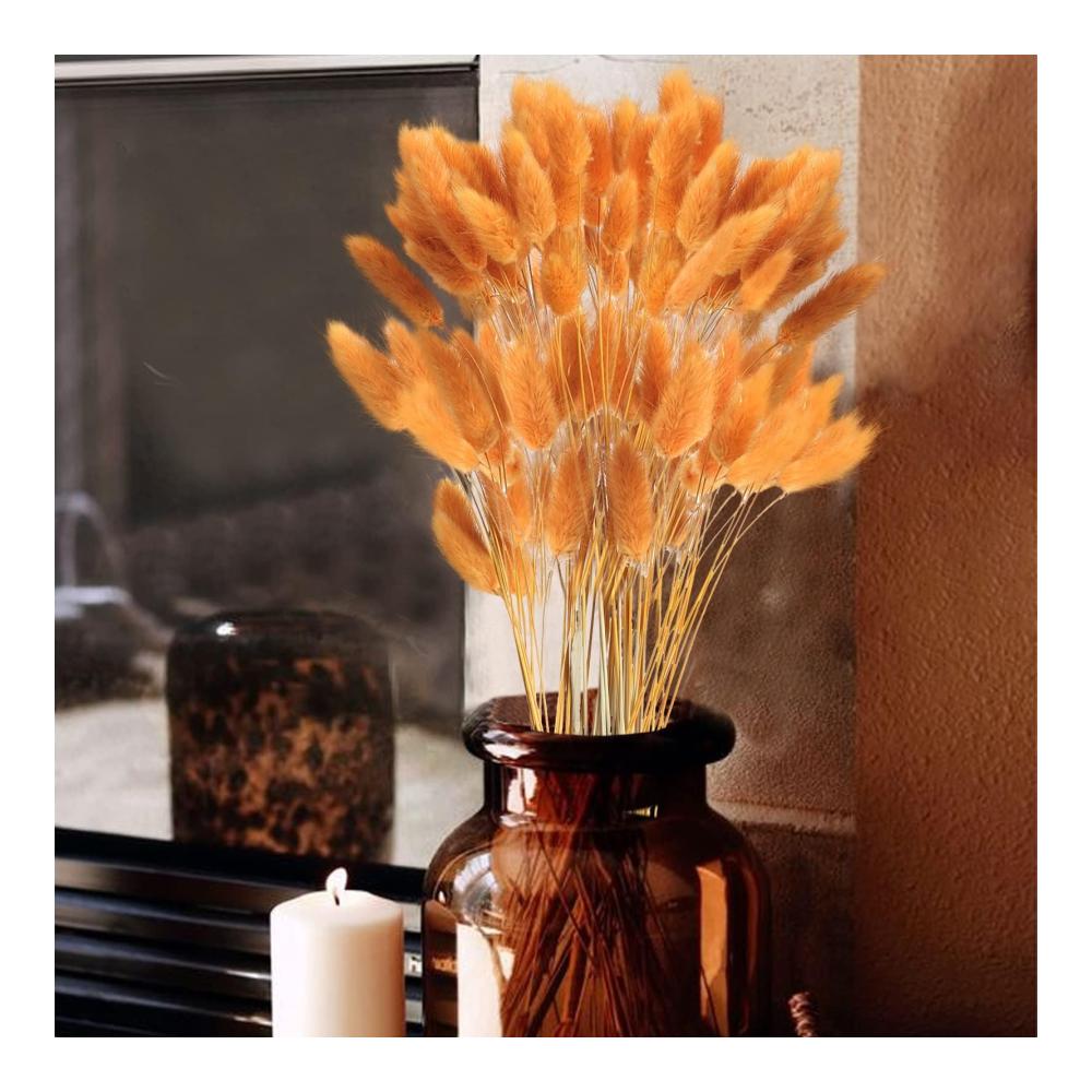 Entdecken Sie die Schönheit der Natur mit 120 Stück getrockneter Pflanzen gemahlenes Gras herbstliche Blumen und rotes Schilfgras für Zuhause Hochzeit und Halloween-Dekorationen