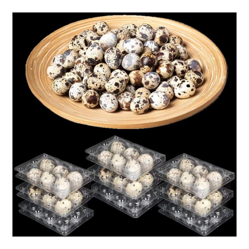 30er Pack Wachteleierschachteln - Praktische Eierkörbe für Wachteln - 6er Gitter PVC-Eierhalter mit Deckel - Ideale Aufbewahrung für Kühlschrank - Quail Egg Kartons für frische Eier