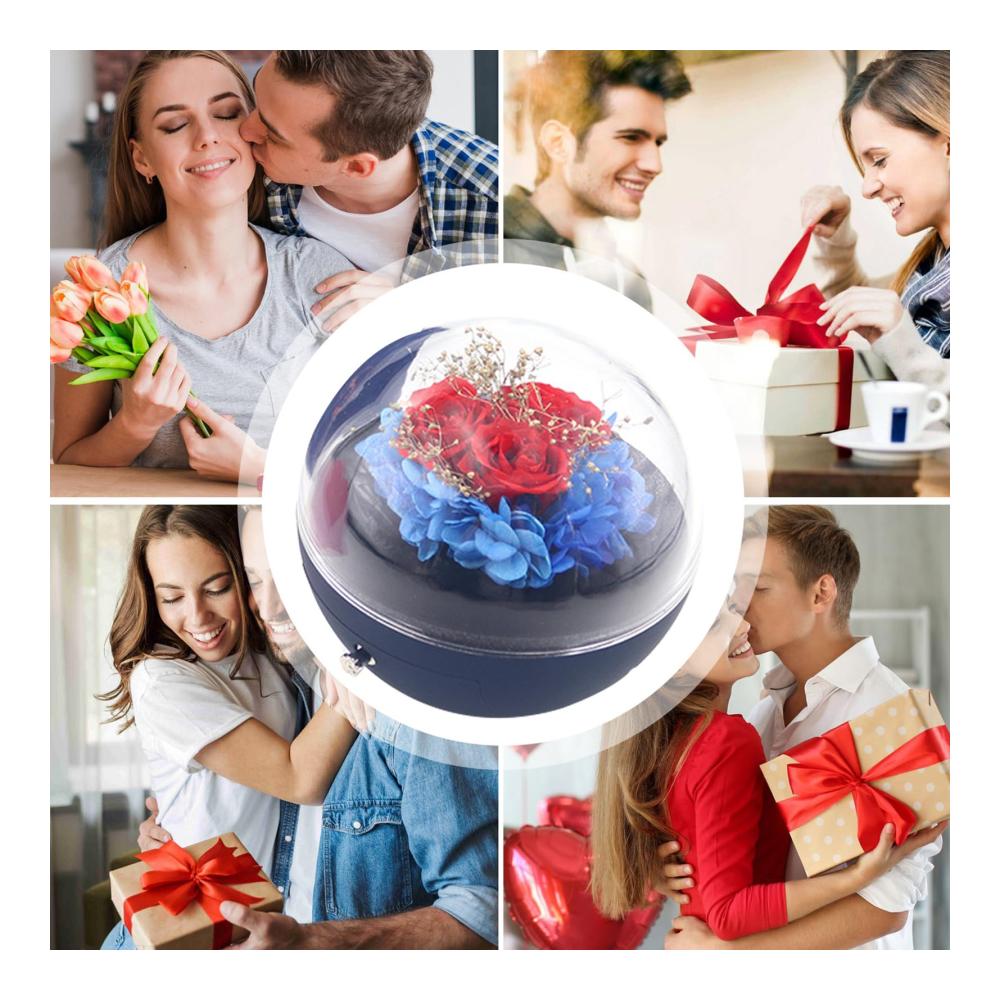 Entdecken Sie die zeitlose Eleganz Konservierte Rosen-Schmuck-Geschenkbox | Runde echte Rosenbox-Dekoration für Mutter Frau Freundin zum Jahrestag | Einzigartiges Geschenk mit konservierten Blumen