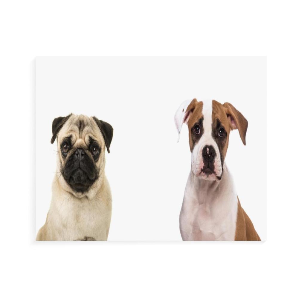 Entspannende Malen-nach-Zahlen-Kits für Erwachsene DIY Ölgemälde mit Französischer Bulldogge auf Leinwand – Perfekt für Anfänger – 16x20 Zoll
