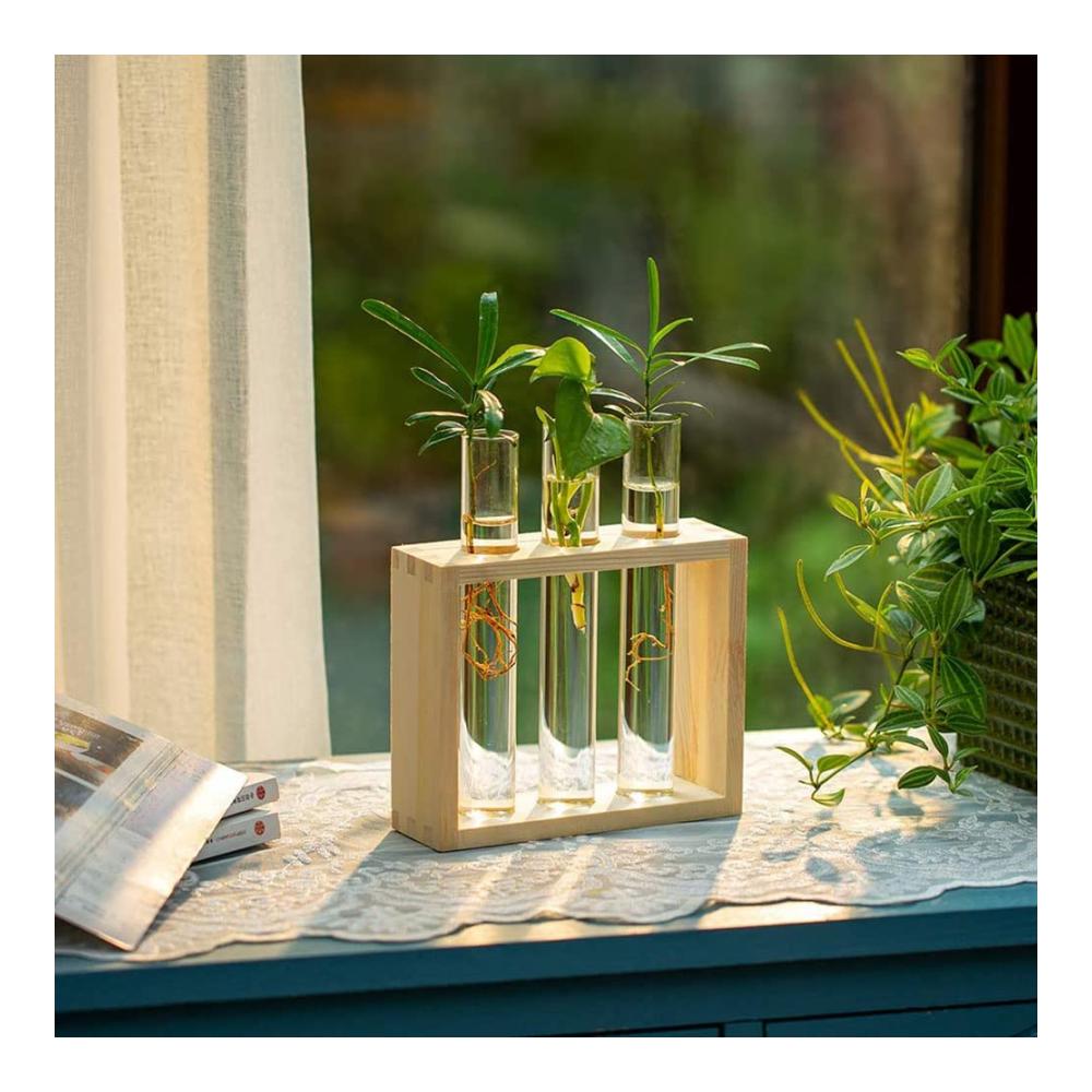 Deko Vasen Set Vintage Glas Reagenzgläser in Holzhalterung für Hydrokultur Pflanzen & Terrarium Dekoration - Perfekt für Zuhause Büro & Garten