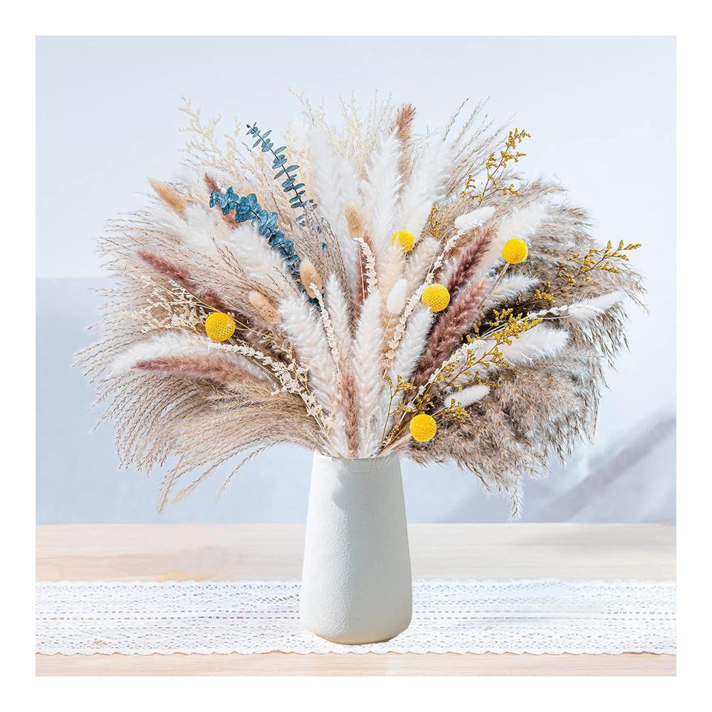 Erfrischend natürliche Dekoration Getrocknete Pflanzen - Pampasgras Bouquet für stilvolle Boho-Heimdekoration und atemberaubende Hochzeitsarrang