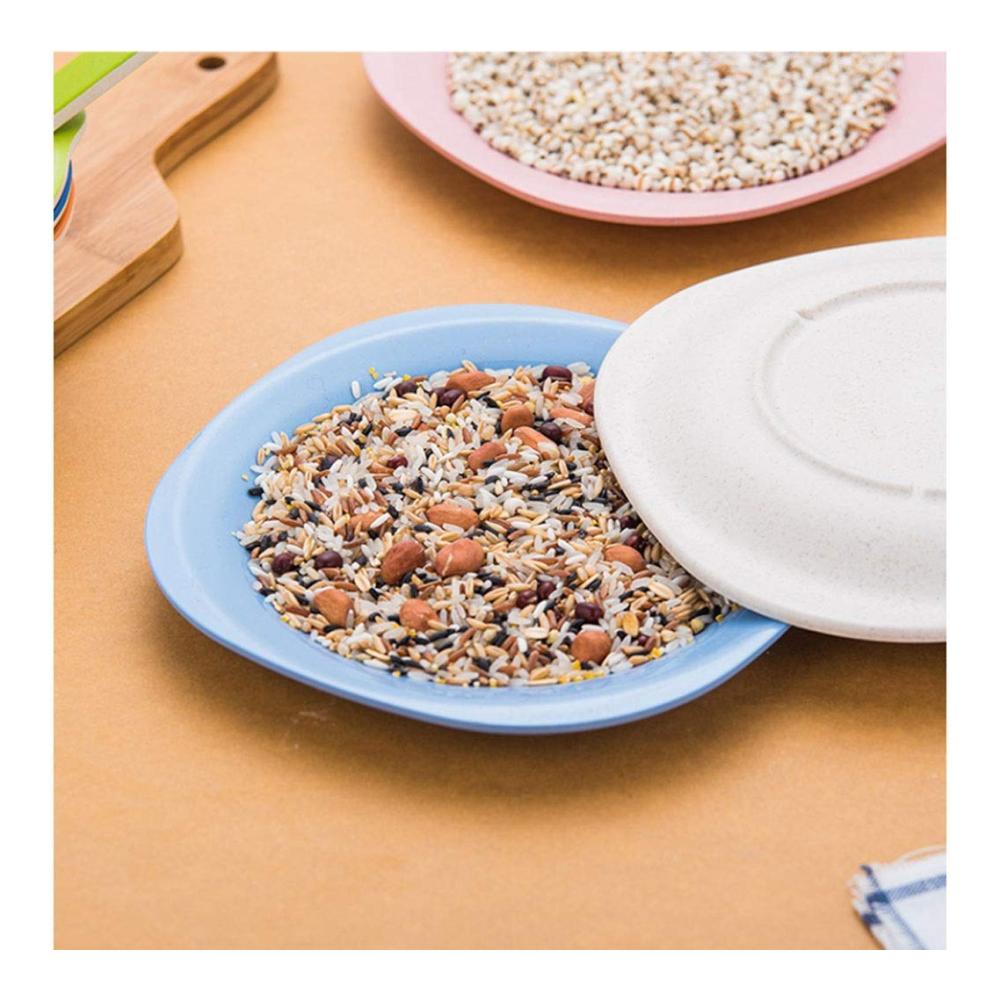 Salatteller Kunststoff 4er Pack nordisch kreativer Obstteller chinesisch moderner Haushalt Tee-Snack-Dessert rosa Geschirr - Praktischer Salat Servierteller für stil