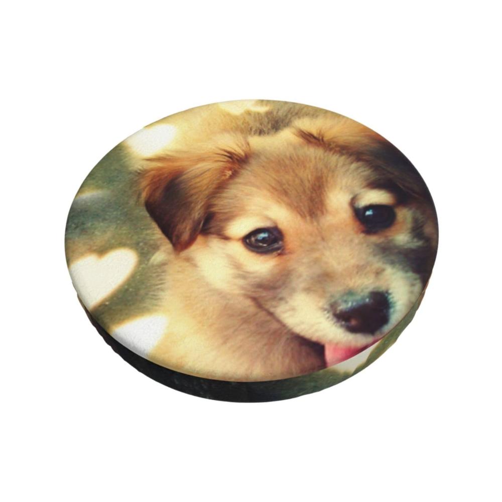 Flauschiger Welpe