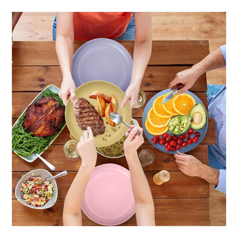 Hochwertige 6er Set Speiseteller aus bruchsicherem Material – Ideal für Salat Pasta und mehr – 9 Zoll Robuste Dinner Plates für Zuhause Partys – Mikrowellen- und Spülmaschinenfest