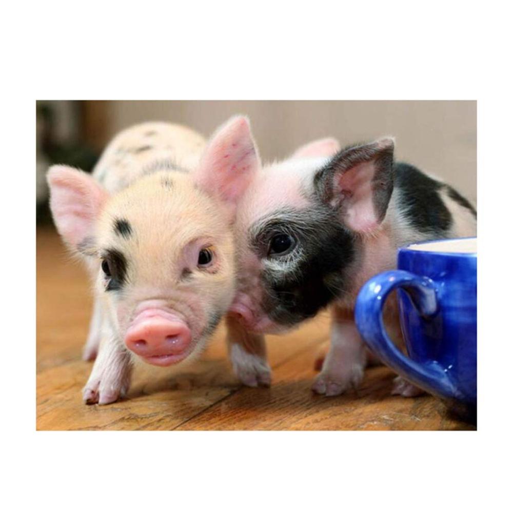 Kreatives DIY Runde Malerei Zubehör-Set - Inklusive Stickerei Materialien für süße Schweine Malerei - Perfekt für Handwerker und Kunstliebhaber