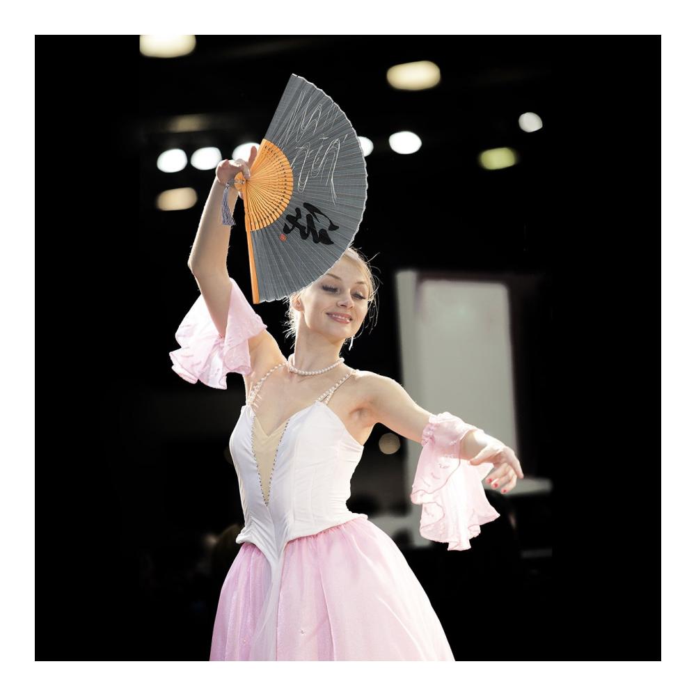 Exklusive Japanische Handfächer - Dekorative Fächer aus Seide und Bambusgriff - Perfekte Deko für Sommer Tanz und Flamenco - Hochwertige Dekoartikel