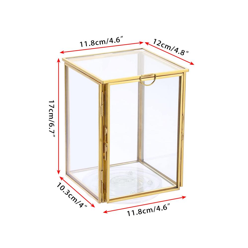 Goldener Glaswürfel Botanische Probe Fotorahmen Ewige Blume Probe Box mit 360 Grad drehbaren Basis Foto Kosmetik Pinsel Veranstalter 4x6inch für Wand- & Tischrahmen - Hochwertiges Design für zeitlose Erinnerungen und organisierte Schönheit