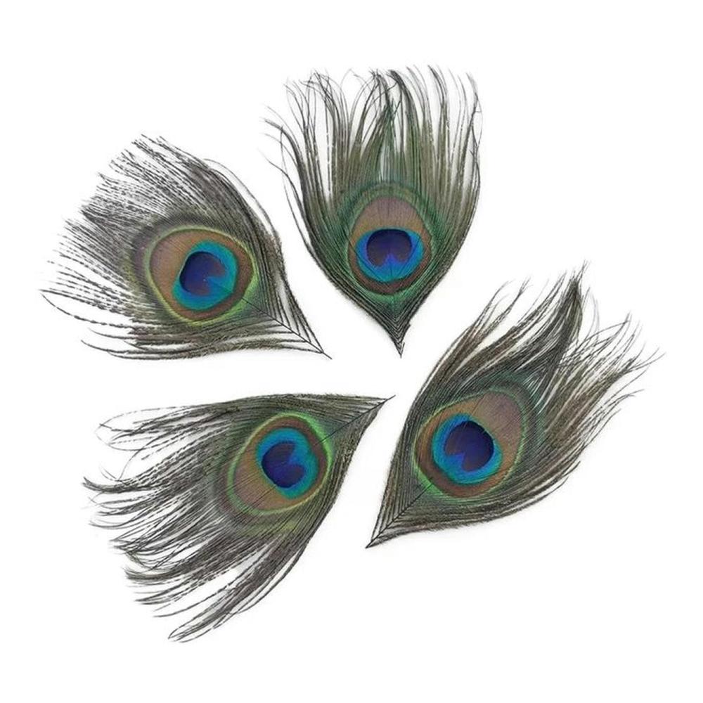 50 Natürliche Pfauenfedern für Kreatives Basteln und Schmuckherstellung - Dekorative Verzierungen für Hochzeit Party und Kunsthandwerk - Federdekoration aus der Natur