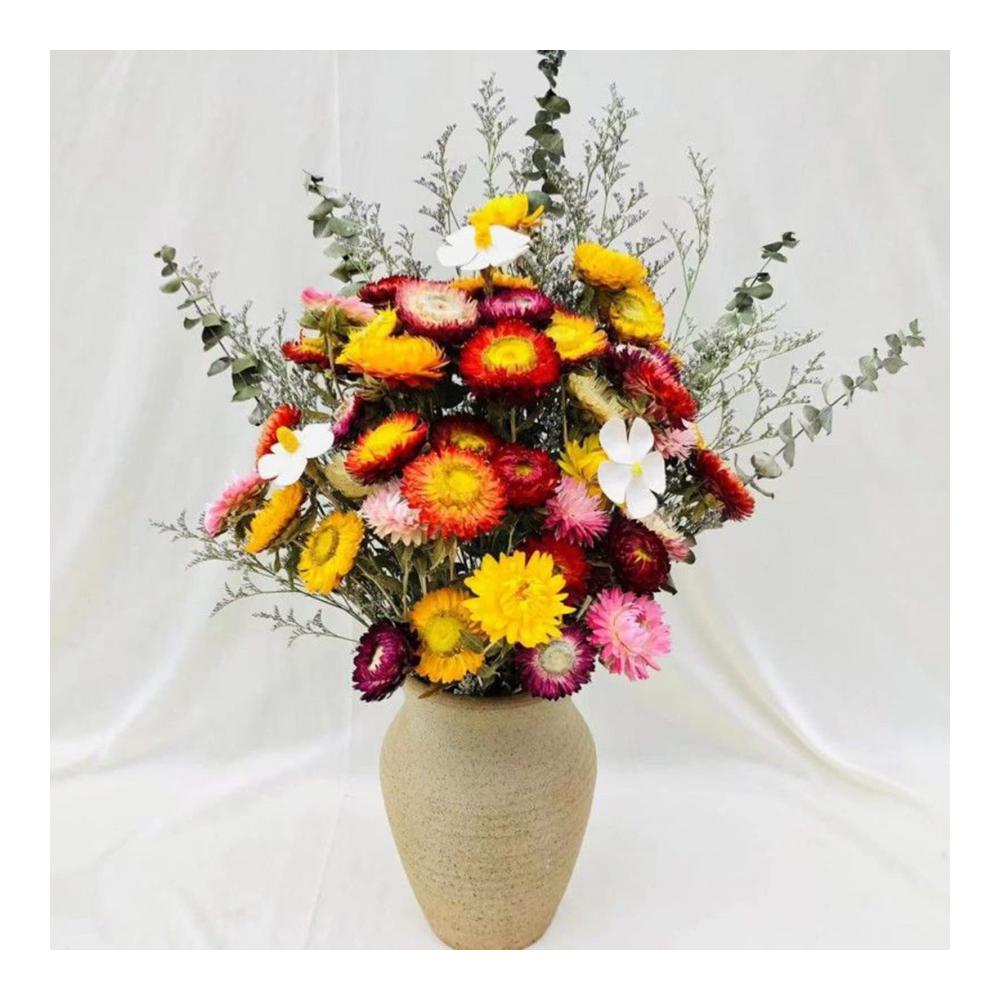 Entzückendes Getrocknete Blumen Bouquet 20 Stück Ananas Chrysantheme Natürlich und Echt für Blumenarrangement und Home Decor - Fr