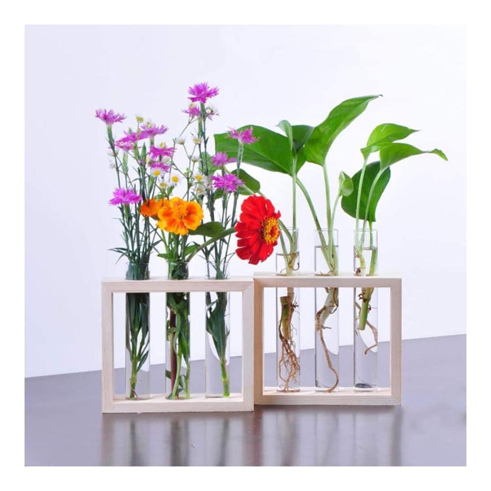 Deko Vasen Set Vintage Glas Reagenzgläser in Holzhalterung für Hydrokultur Pflanzen & Terrarium Dekoration - Perfekt für Zuhause Büro & Garten