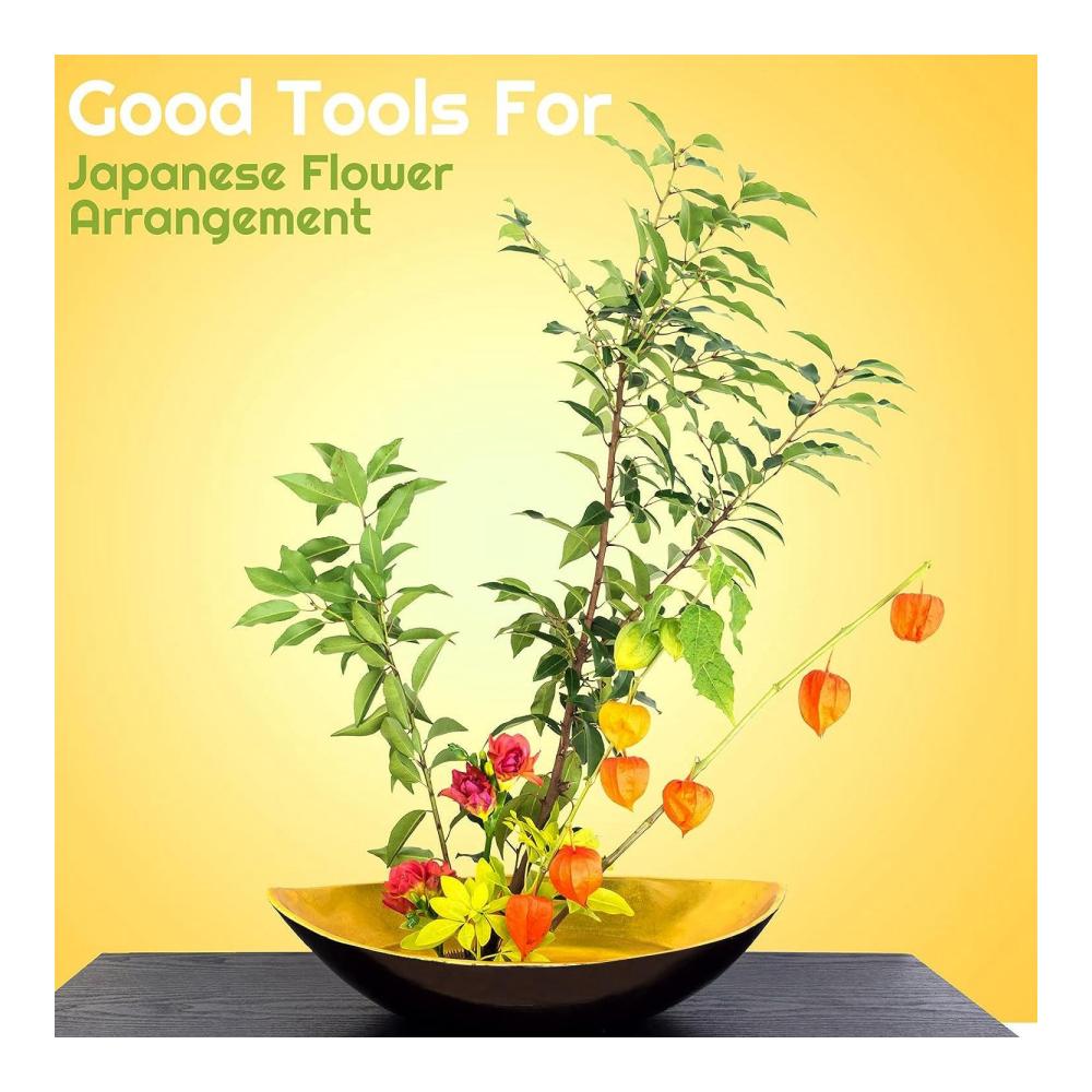 Blumen-Igel Kunststoff-Nadelhalter für Blumenarrangements - 4er Set für Japanische Dekorationen & Feste - Transparent & Langlebig! Ideal für Floristen & Hobbygärtner