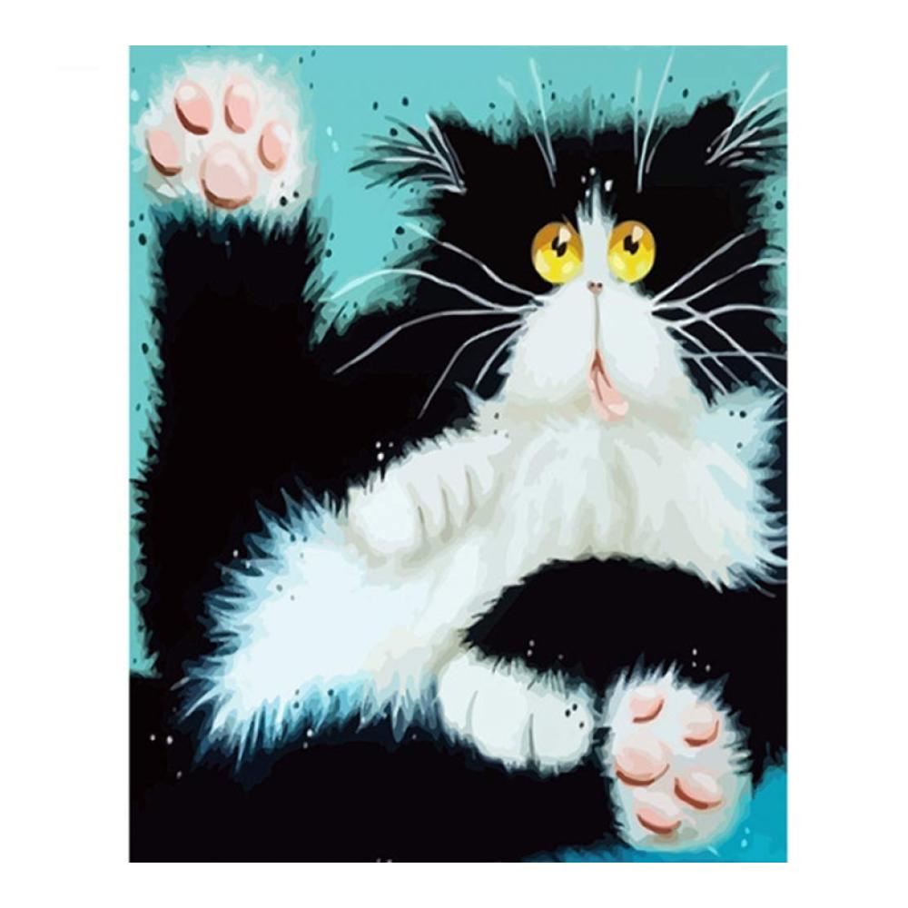 B Cat