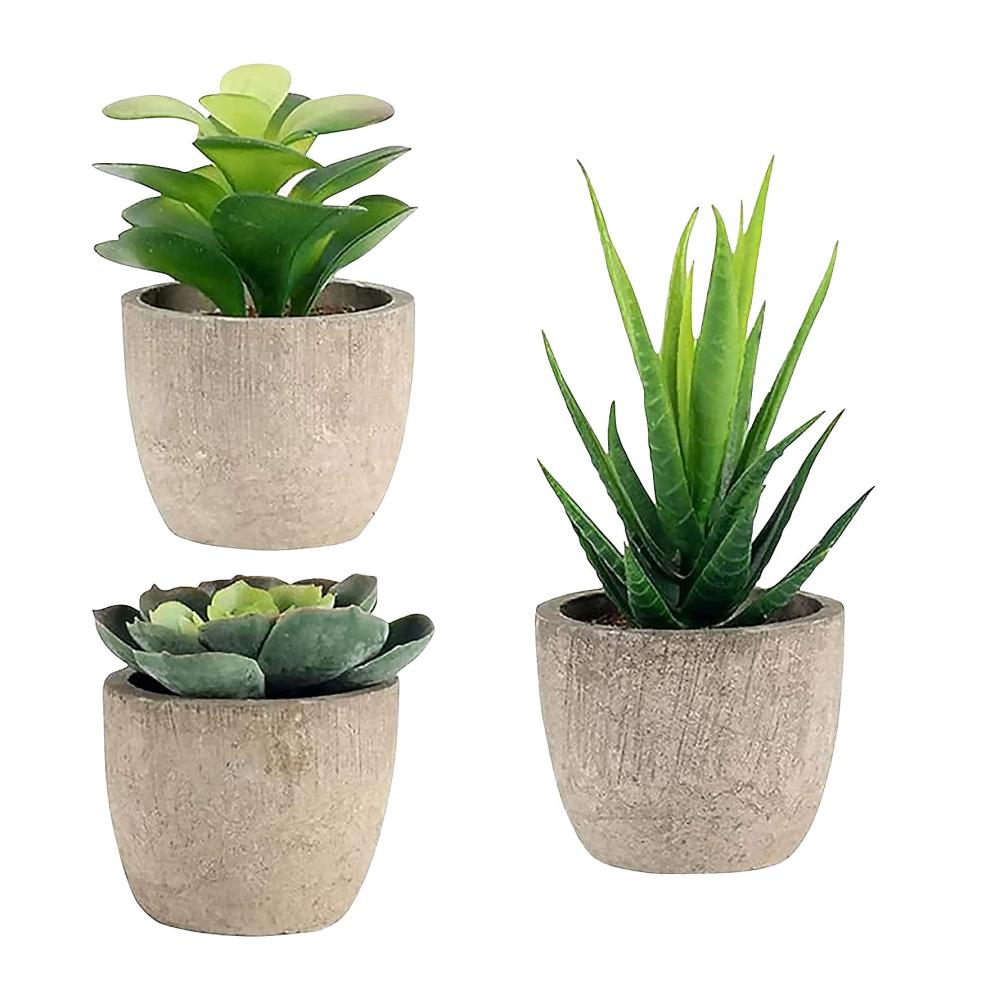 3er Set Dekorative Künstliche Pflanzen Sukkulenten & Bonsai - Ideal für Wohnzimmer Balkon & Büro Langlebige Frühlingsdeko Perfektes Geschen
