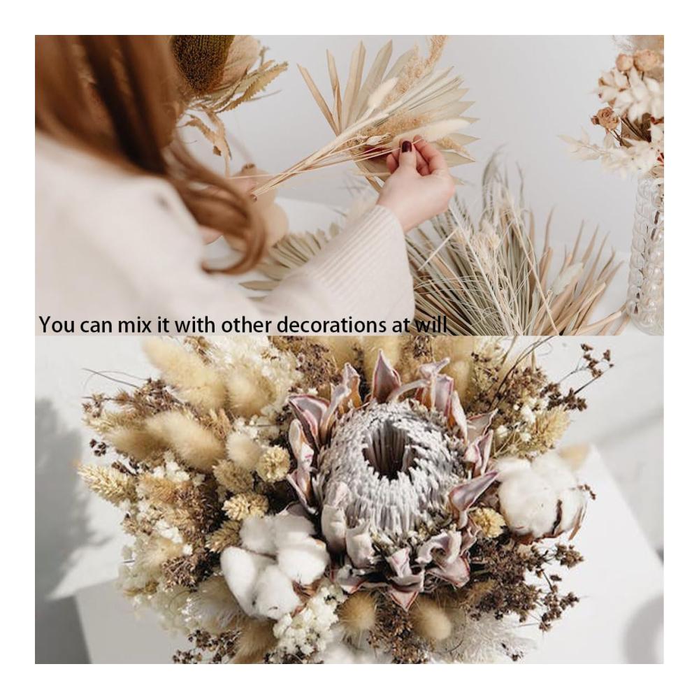 Getrocknete Pflanzen - Natürliche Trockenblumensträuße für DIY Arrangements - Deko für Hochzeit Heim & Garten - Inklusive Pampasgras und mehr - 5 Blumen für Vasen und Bastelprojekte