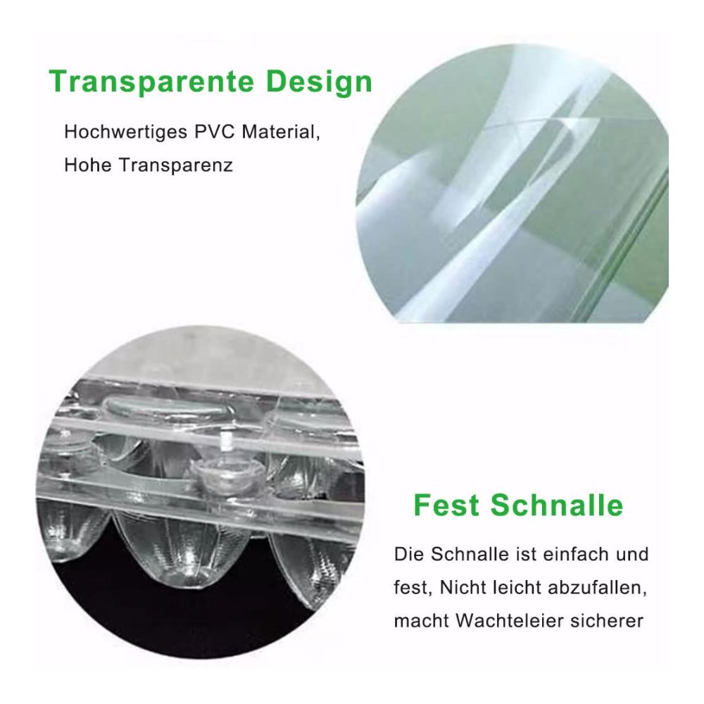 30er Pack Wachteleierschachteln - Praktische Eierkörbe für Wachteln - 6er Gitter PVC-Eierhalter mit Deckel - Ideale Aufbewahrung für Kühlschrank - Quail Egg Kartons für frische Eier