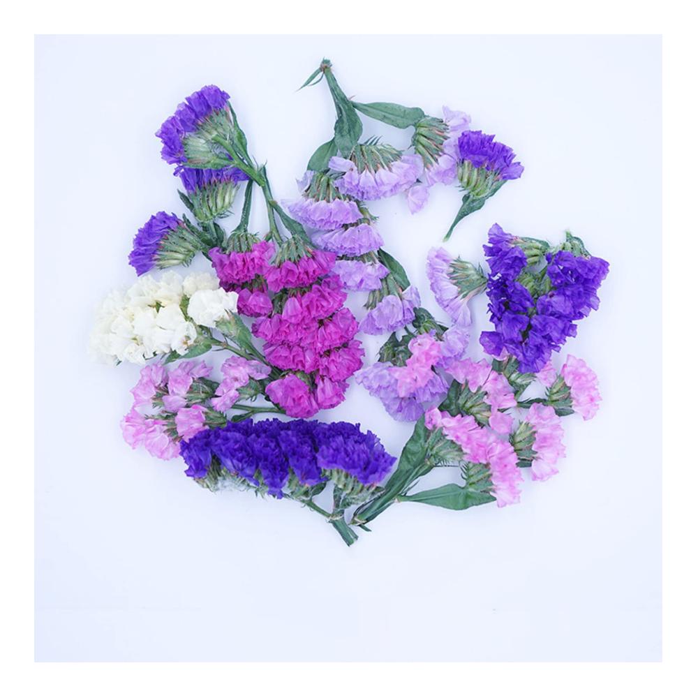 Entdecken Sie das ultimative pflanzliche Stoff Papierherstellung Kit 2x 127x178cm Papierschöpfrahmen getrocknete Blumen & Schwamm mit Ersatz-Mesh Tuch