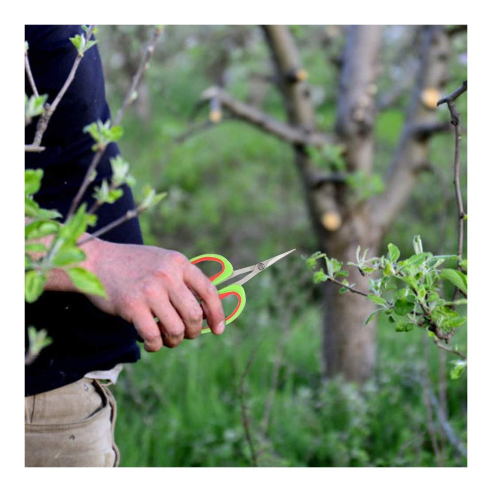 Organisierter Pinselhalter für Bonsai-Scheren & Gartenwerkzeug | Edelstahl Japanische Gartengeräte für Obstbäume & Weinreben | Hält Ihre Werkzeuge stets griffbereit & ordentlich